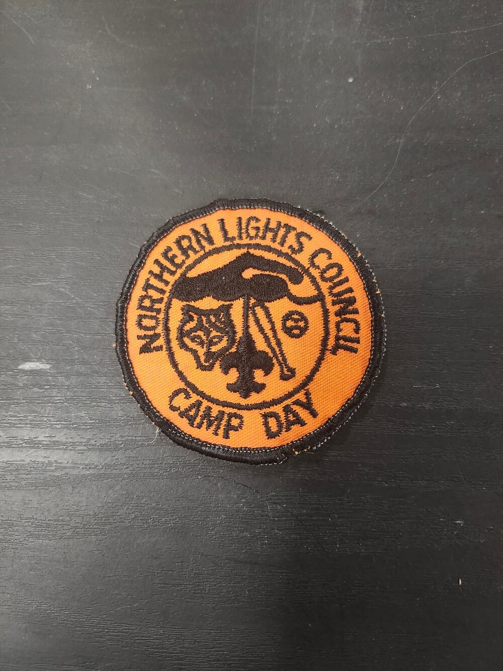 Vintage BSA Northern Lights Council Camp Day Patch Boy Scouts Memorabilia Retro